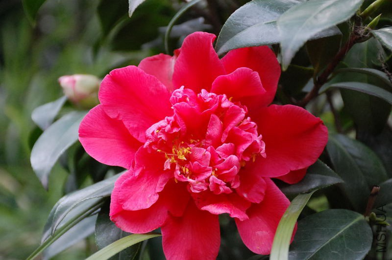 DSC_33120292.JPG