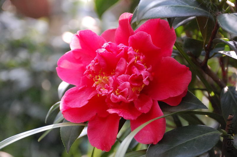 DSC_30340014.JPG