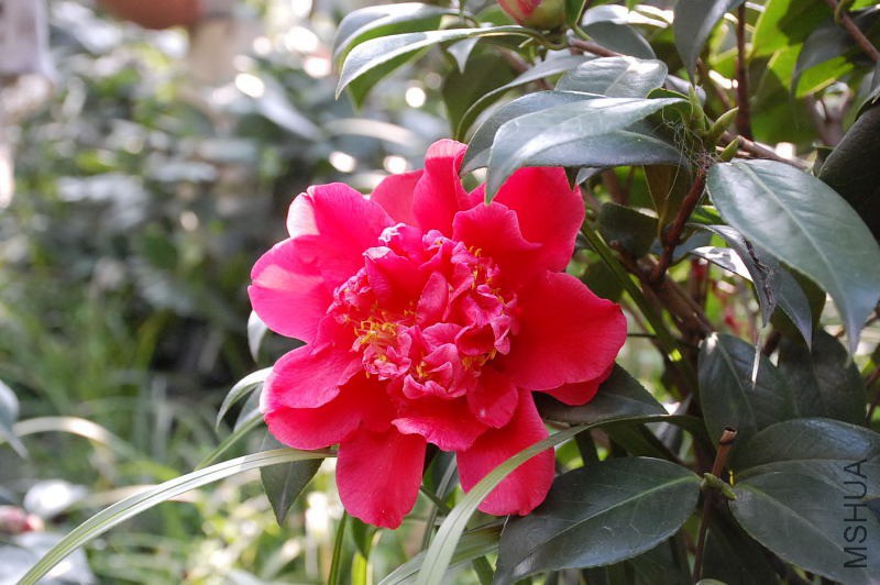 DSC_30450025.JPG