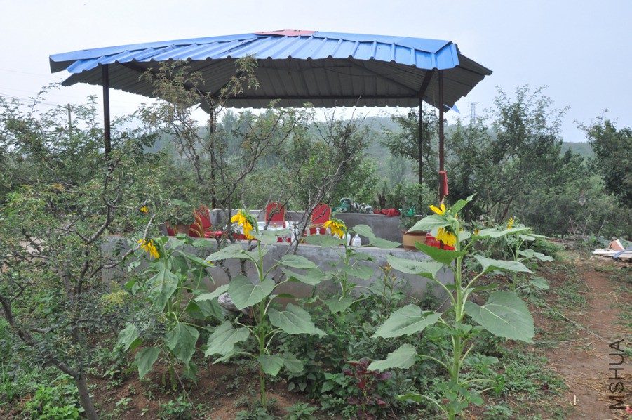 DSC_7122_����.jpg