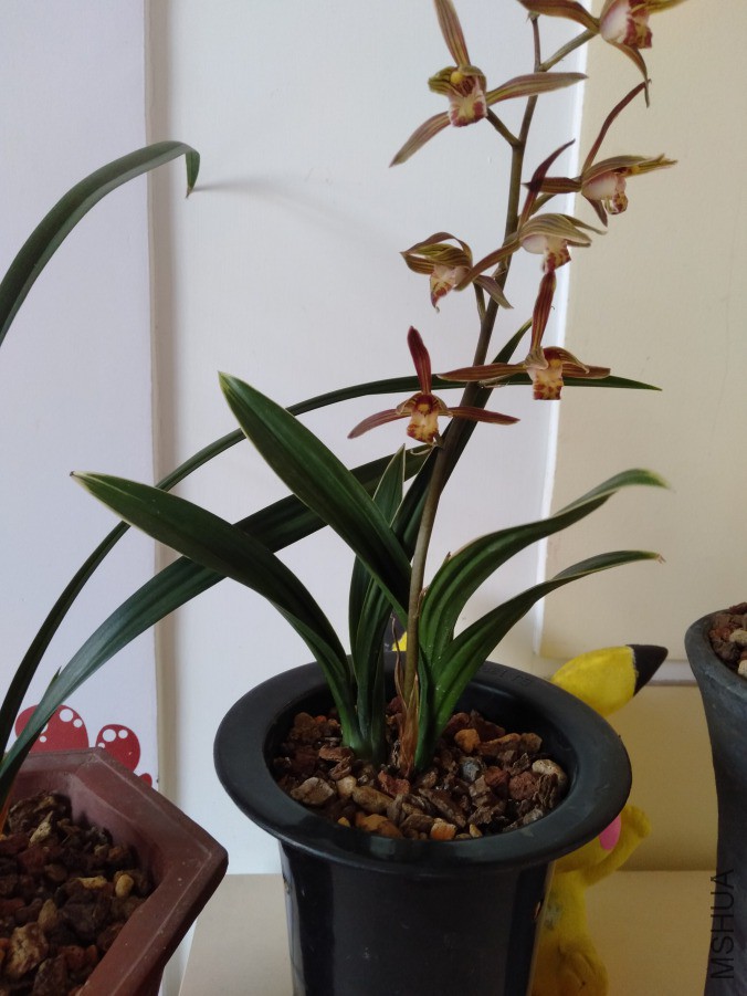 IMG20190311081616.jpg