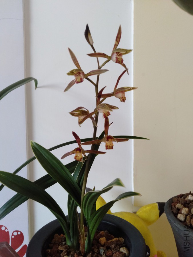 IMG20190311081619.jpg