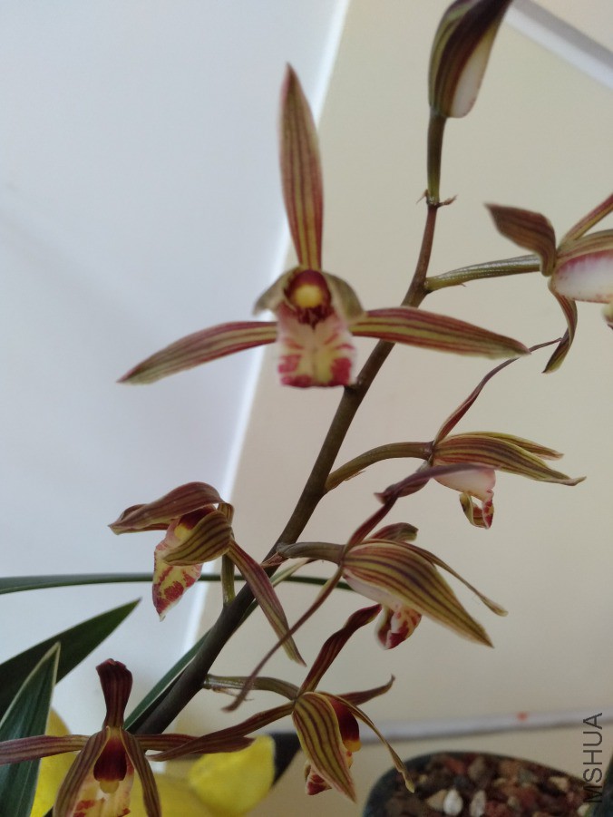 IMG20190311081625.jpg