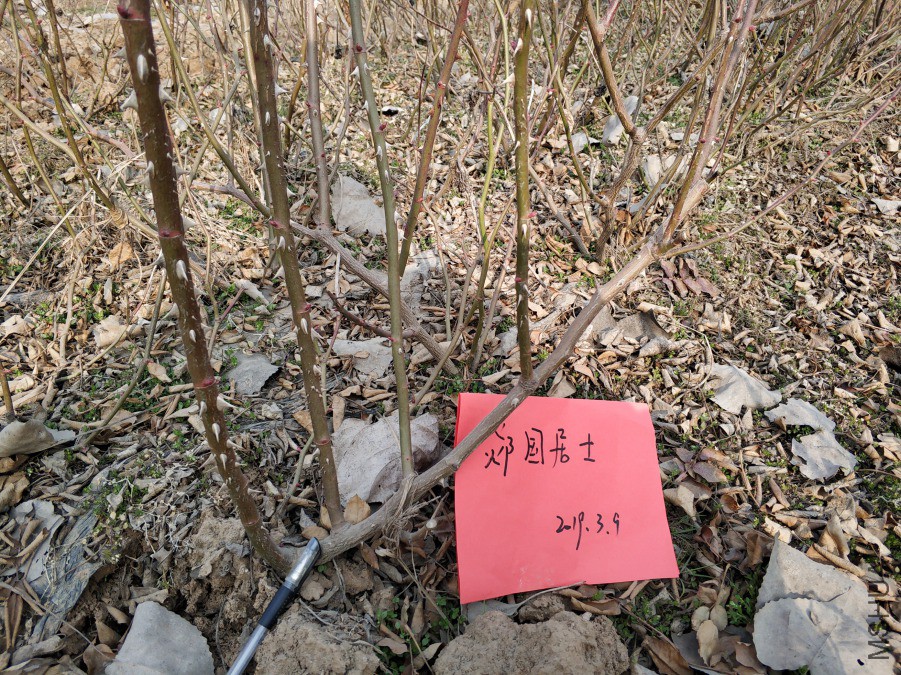 IMG_20190305_155152.jpg