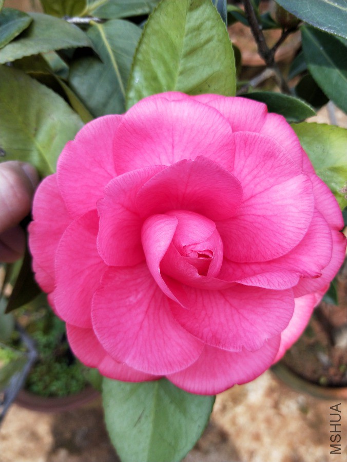 IMG20190312104116.jpg