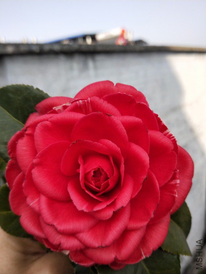 IMG20190312092206.jpg
