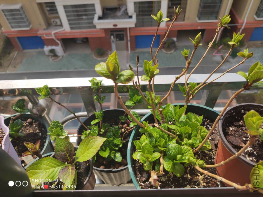 ΢��ͼƬ_20190313082449.jpg