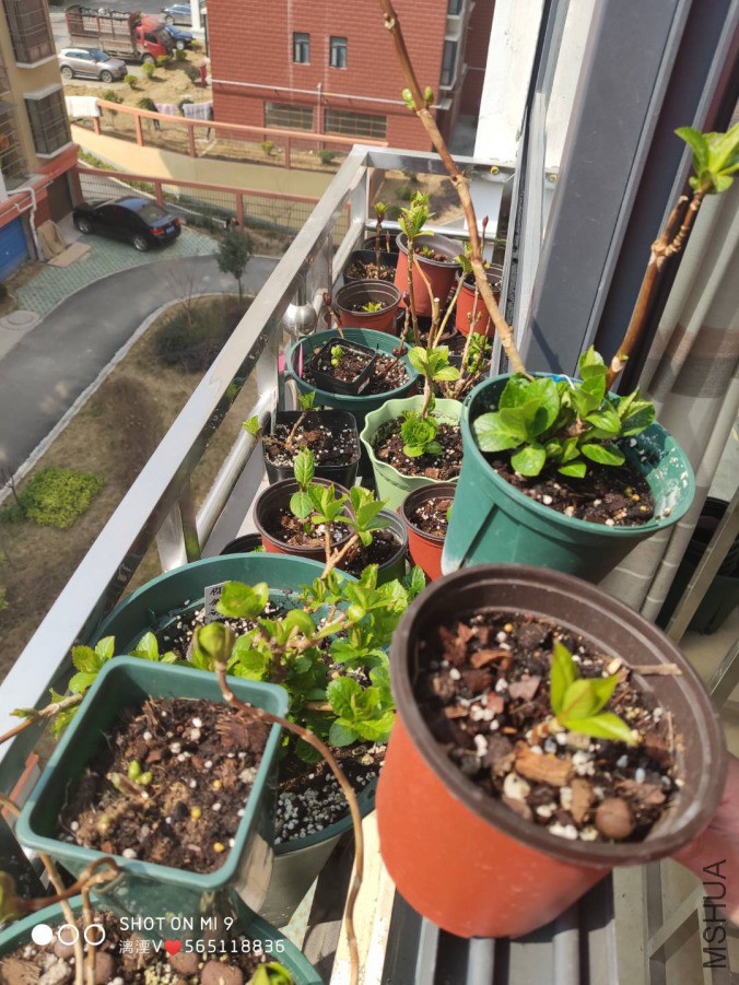 ΢��ͼƬ_20190313082452.jpg