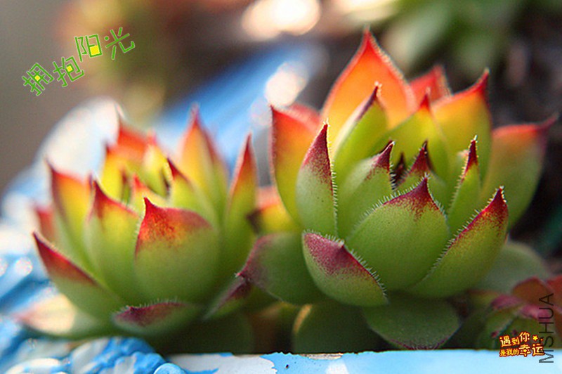 ��Ƭ 273_����_����.jpg