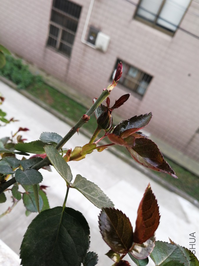 IMG_20190313_170504.jpg