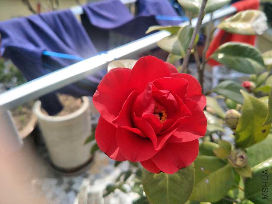 IMG20190313130554.jpg