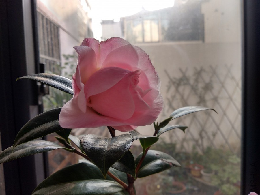 IMG_20190315_080320.jpg