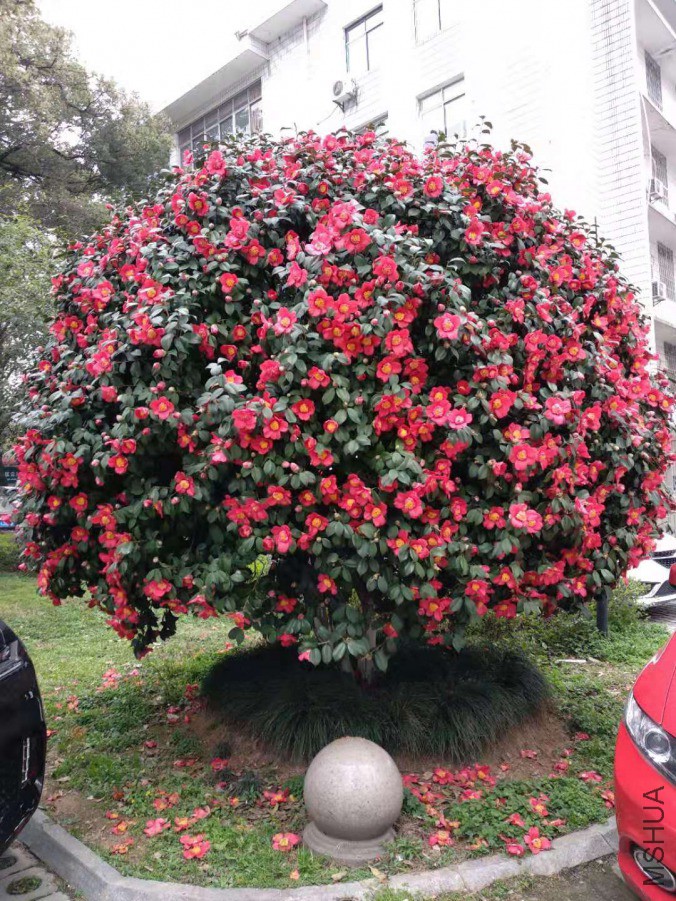 WeChat Image_20190315171723.jpg