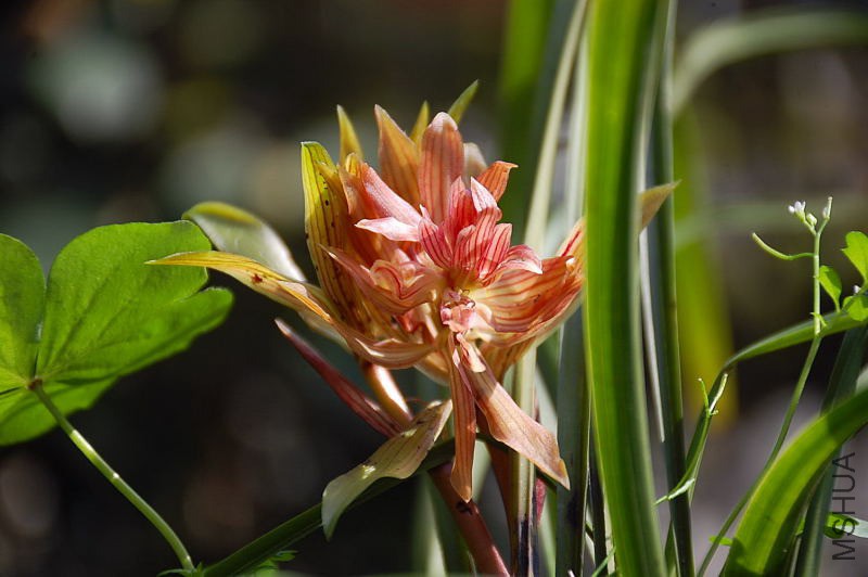 DSC_76440239.JPG