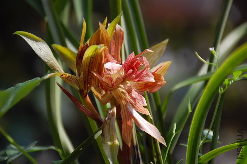 DSC_76340229.JPG