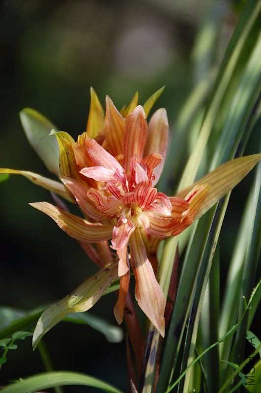 DSC_76760271.JPG