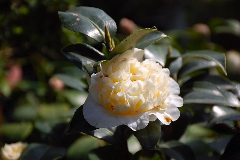 DSC_76280223.JPG