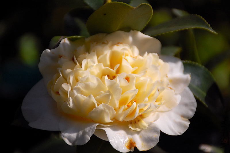 DSC_76190214.JPG