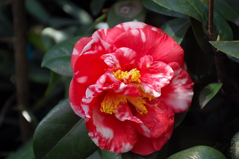 DSC_79170513.JPG