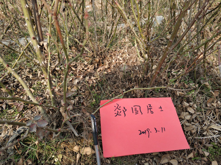 IMG_20190305_154917.jpg