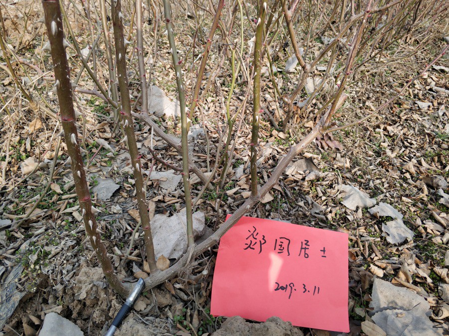 IMG_20190305_155158.jpg
