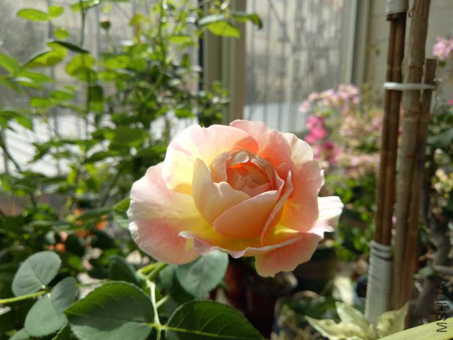 IMG20190315135921.jpg