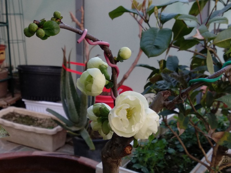 IMG_20190315_173905.jpg