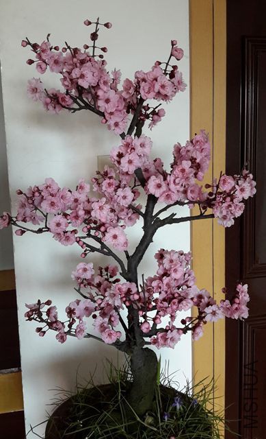 20190316_105651_����.jpg