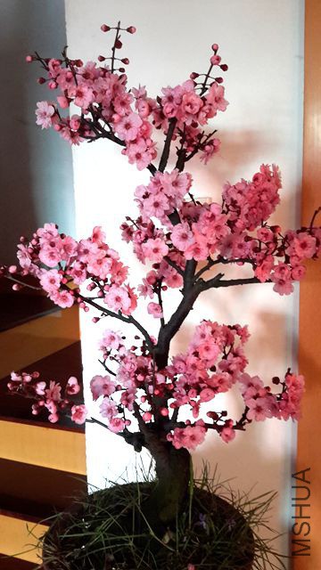 20190316_070112_����.jpg