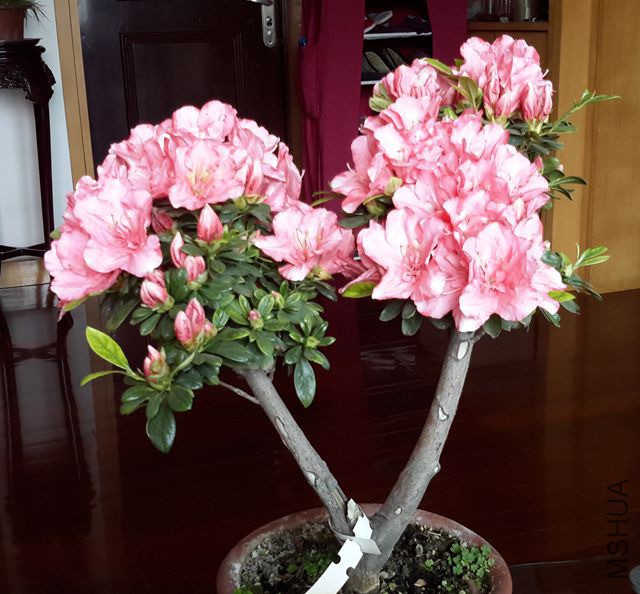 20190316_105710_����.jpg