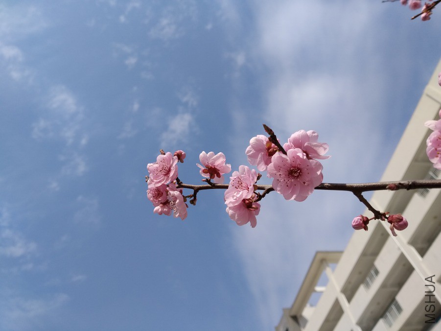 IMG_20190317_102120.jpg