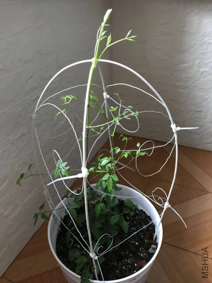 ΢��ͼƬ_201903171945235.jpg