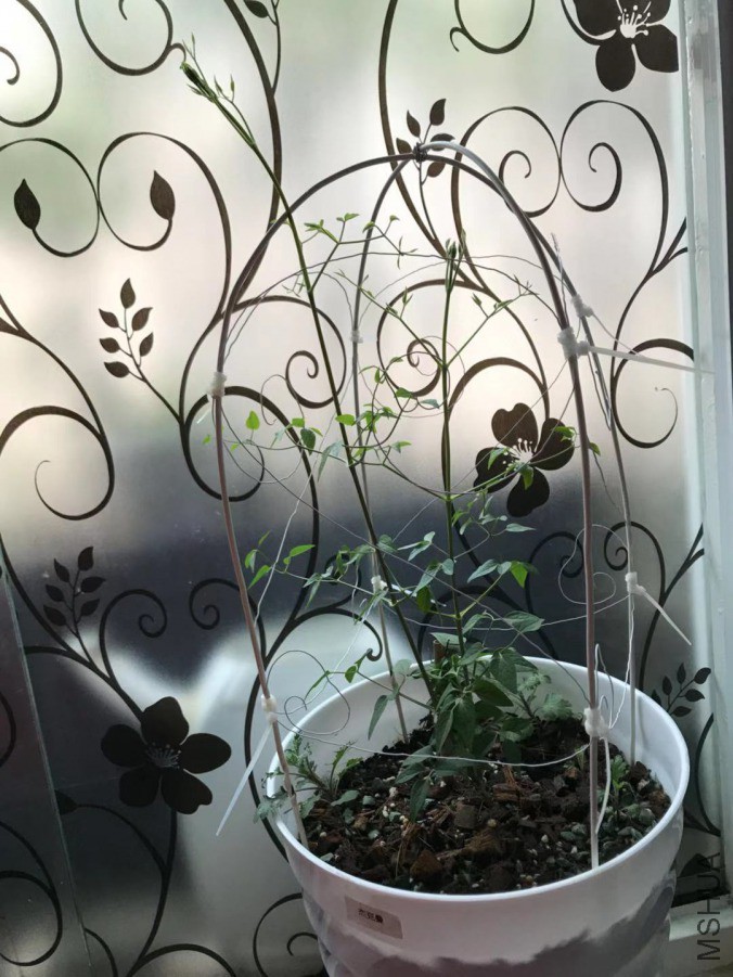 ΢��ͼƬ_20190317194523.jpg
