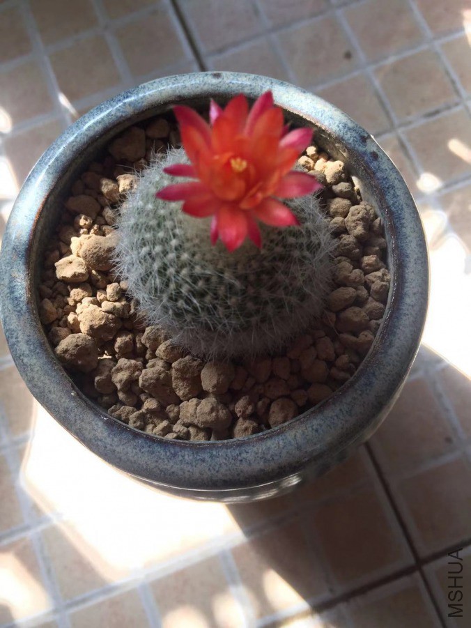 ΢��ͼƬ_20190318131104.jpg