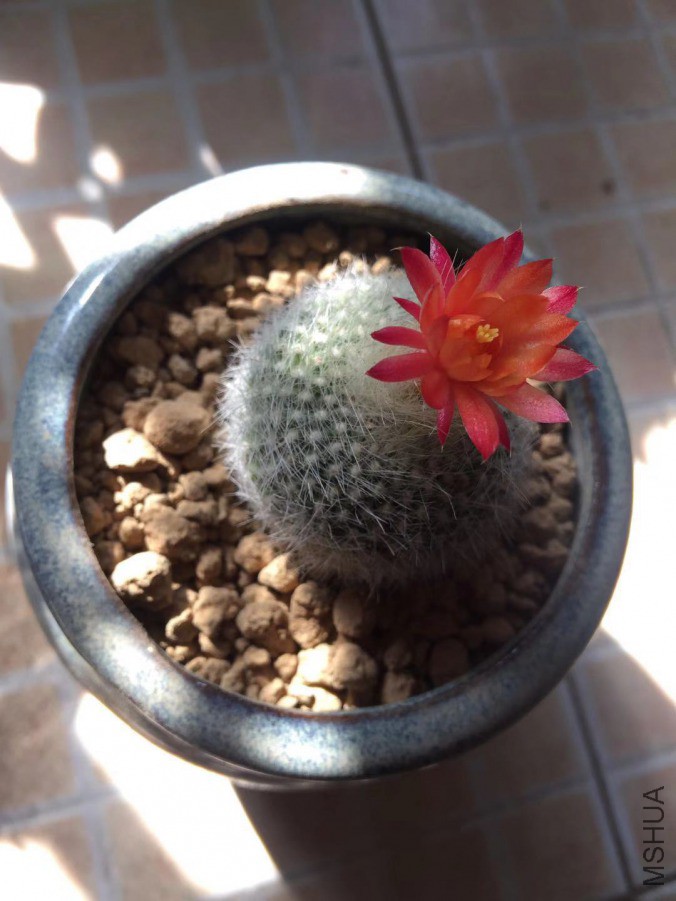 ΢��ͼƬ_20190318131113.jpg