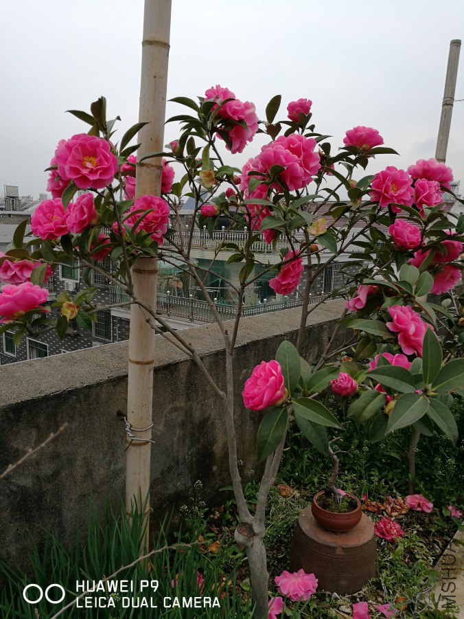 IMG_20190318_101821.jpg