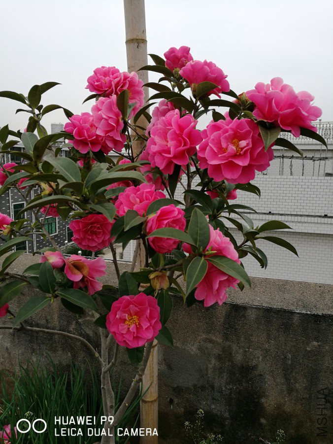 IMG_20190318_102038.jpg