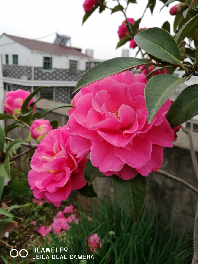 IMG_20190318_102107.jpg