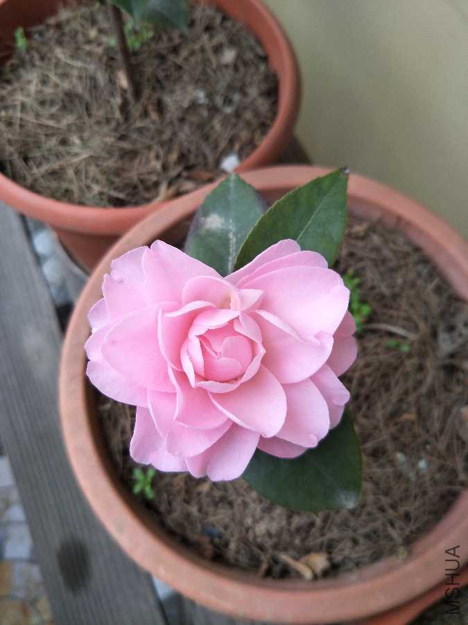 IMG20190318115719.jpg