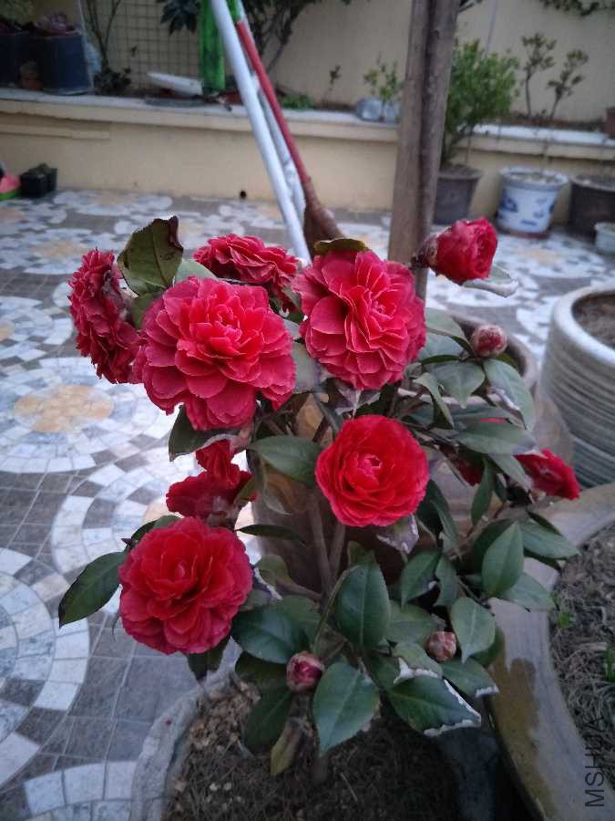 IMG20190317182349.jpg