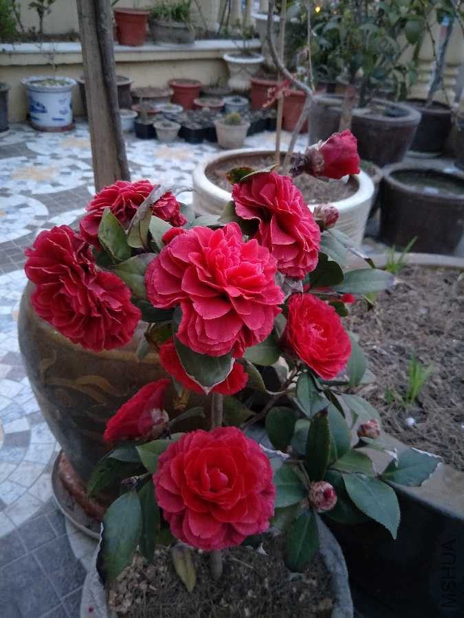 IMG20190317182339.jpg