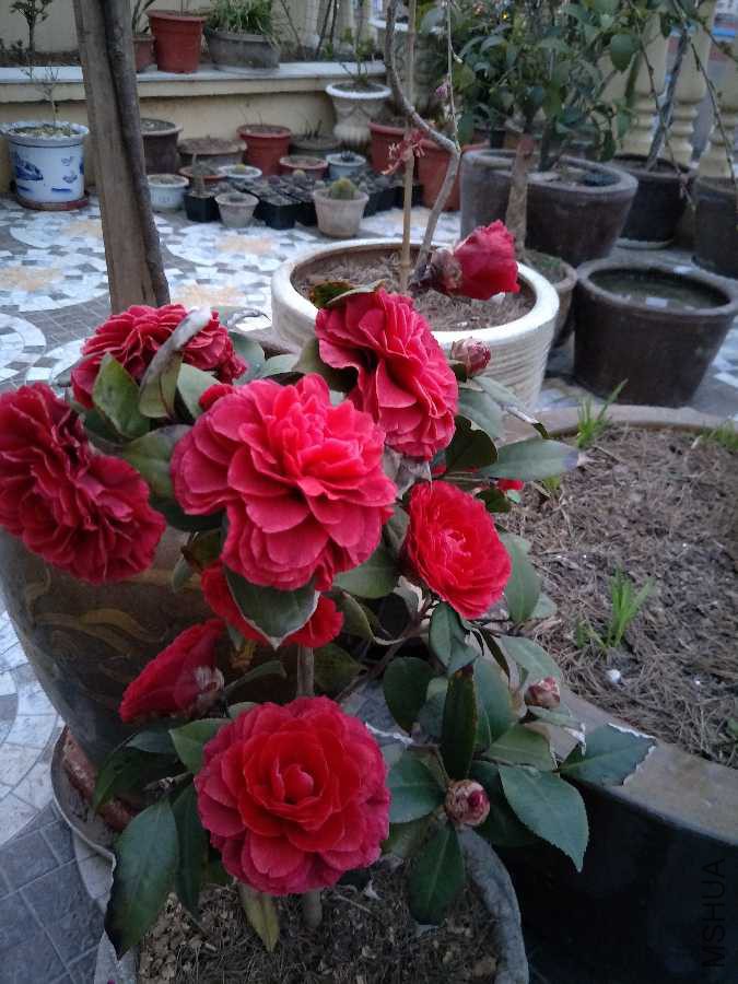 IMG20190317182337.jpg