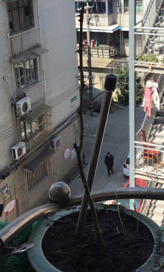 DCEC4116-DF1C-4F84-BBE5-05B19D174347.jpeg