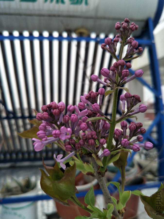 IMG20190320130937.jpg