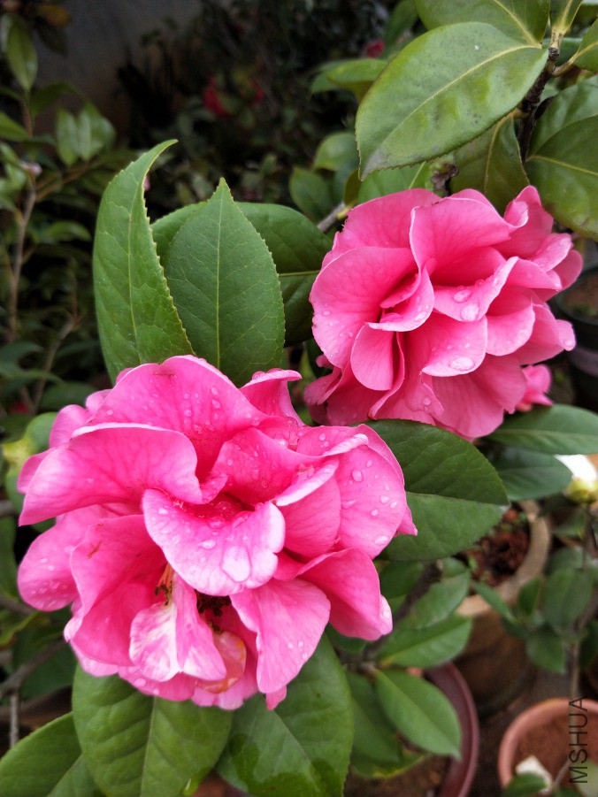 IMG20190321094155.jpg