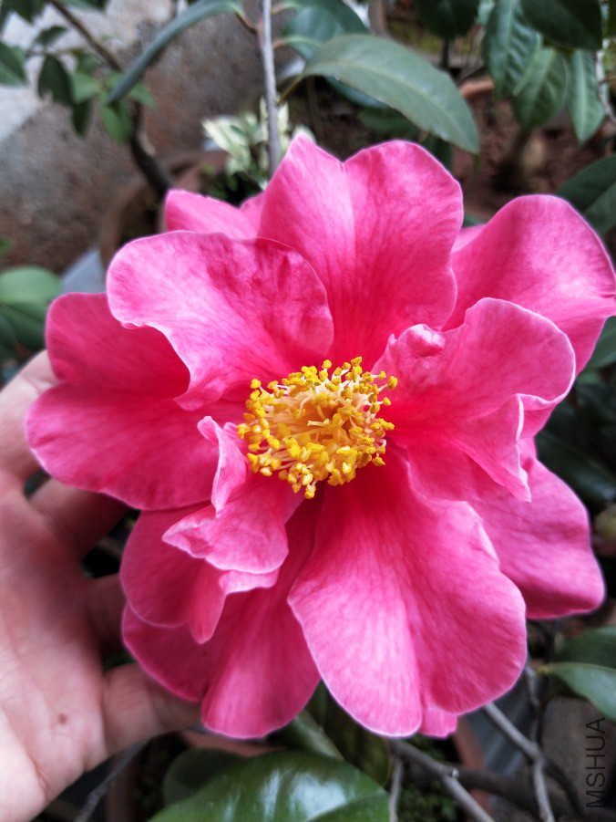 IMG20190320083507.jpg