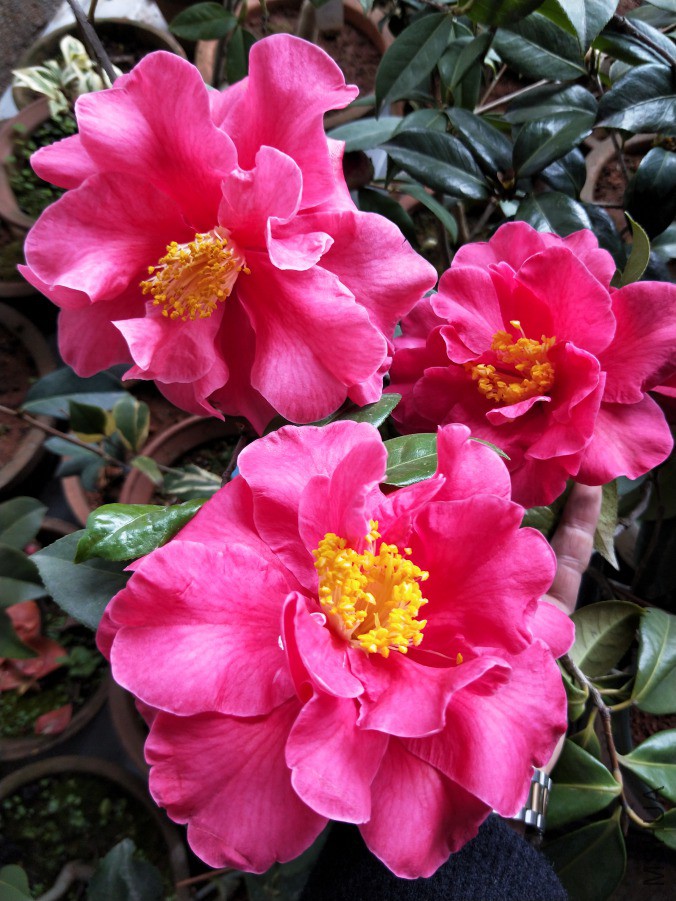 IMG20190321094902.jpg