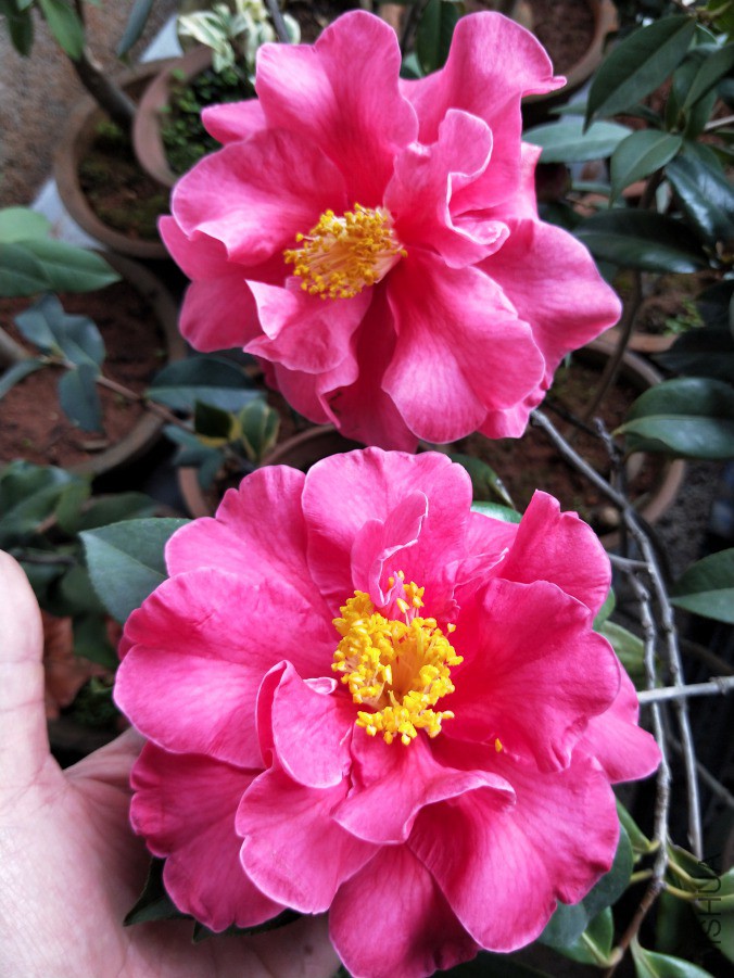 IMG20190321094655.jpg