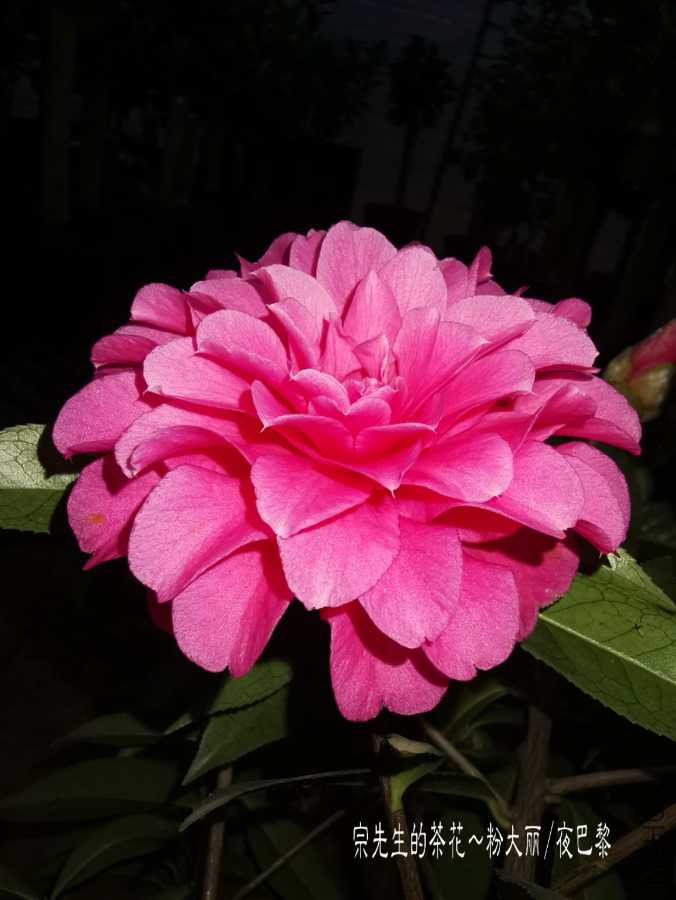 a1552828242221.jpg