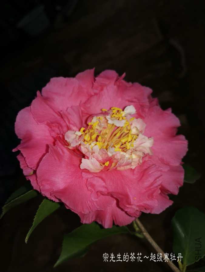 a1552828198732.jpg